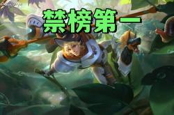 禁(jìn)用率(lǜ)暴(bào)露版本真(zhēn)相！艾琳喫(chī)满圣剑红利(lì)，楊(yáng)戩(jiǎn)41%禁(jìn)用率(lǜ)难怪挨刀