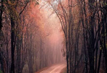 同曦总经理：郭昊文休賽(sài)期拒绝了NBA活塞队的合同