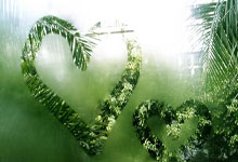 同曦总经理：郭昊文休賽(sài)期拒绝了NBA活塞队的合同