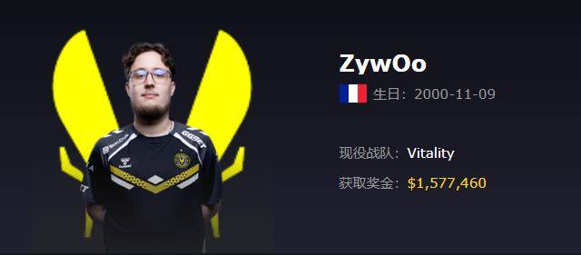 Vitality(小蜜蜂)战队2025最新成员资料、详细介绍