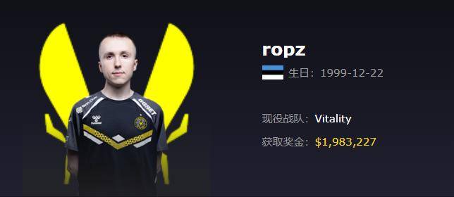 Vitality(小蜜蜂)战队2025最新成员资料、详细介绍