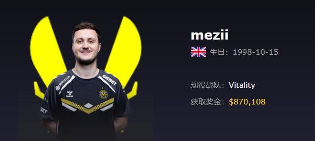 Vitality(小蜜蜂)战队2025最新成员资料、详细介绍